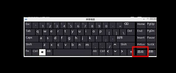 6-“選項(xiàng)”按鈕