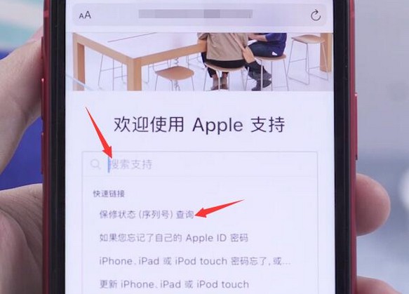 9-搜索并點擊“保修狀態(tài)（序列號）查詢”