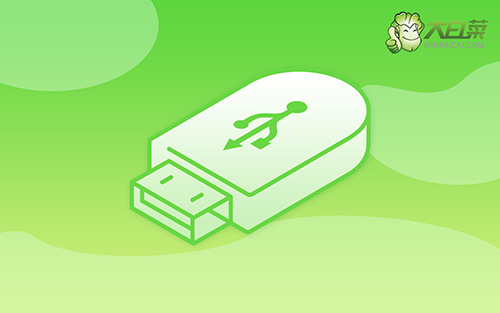 大白菜裝機教程,大白菜裝機怎么樣