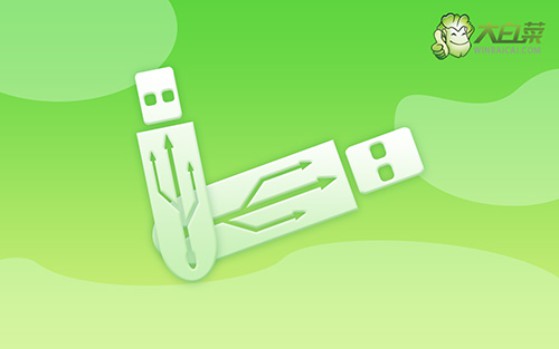 電腦沒系統怎么用u盤重裝系統-電腦沒系統如何用u盤重裝系統