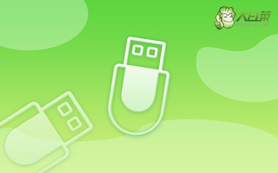 大白菜裝機教程win7方法?大白菜裝機教程圖解
