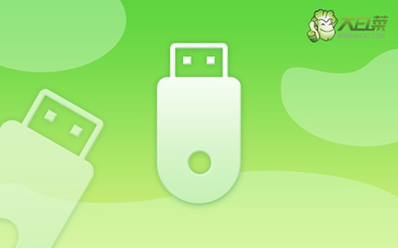 大白菜裝機教程?大白菜安裝win7系統教程
